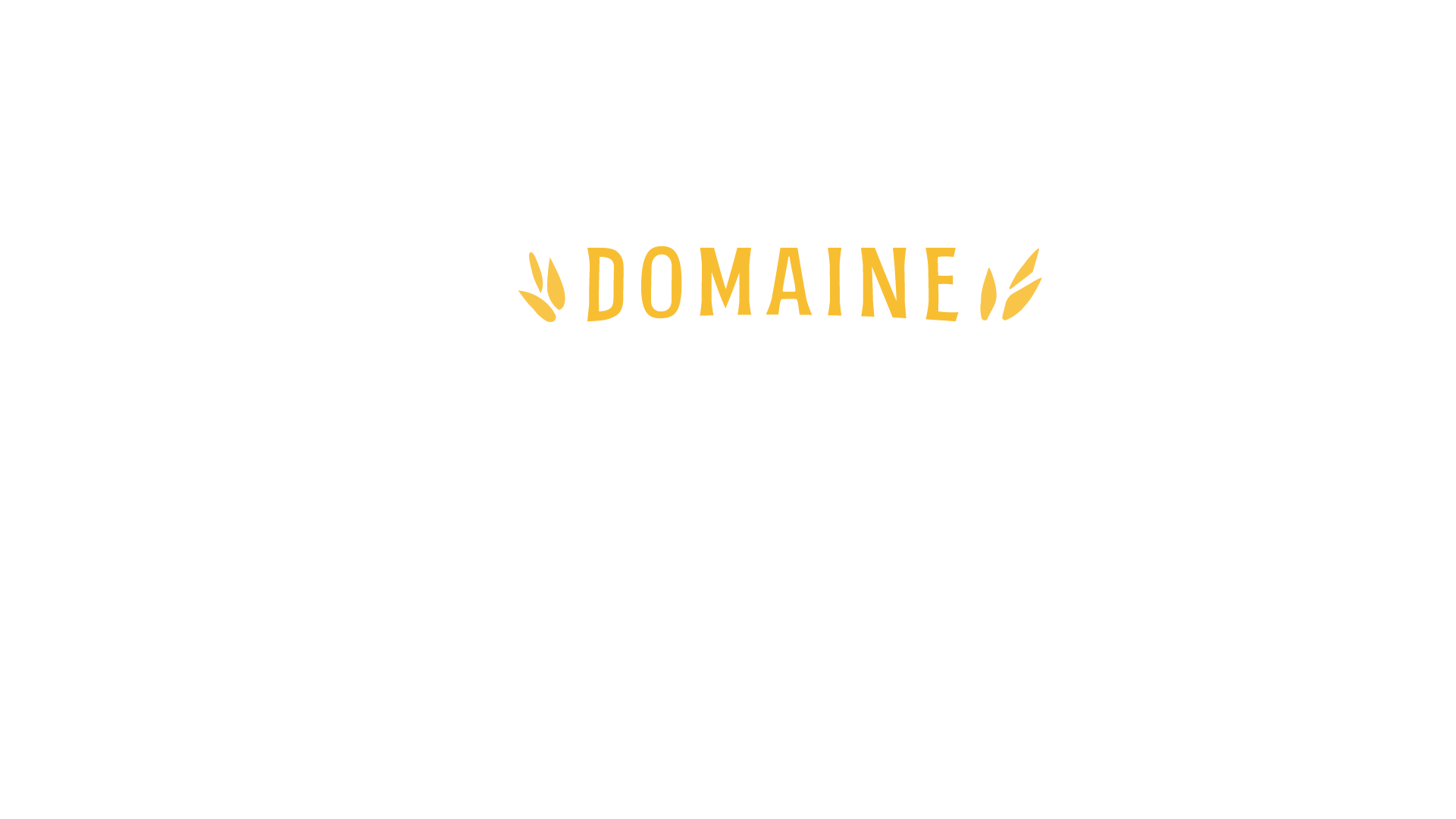 LOGO MONTMAU_DomaineMontmau_Clair